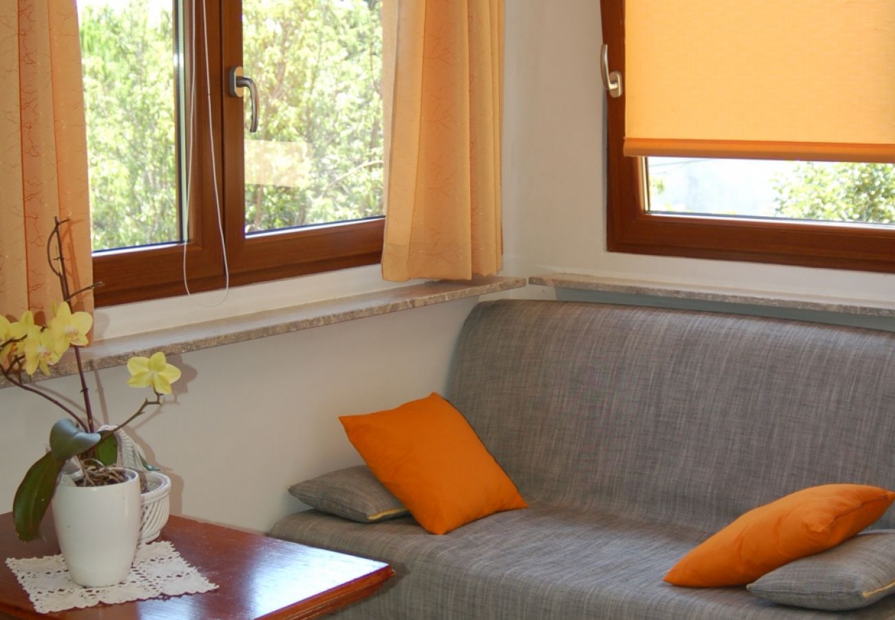 Appartement à Roc - Appartement dans Roč avec Balcon, Climatisation, WIFI, Machine à laver (4909-1)