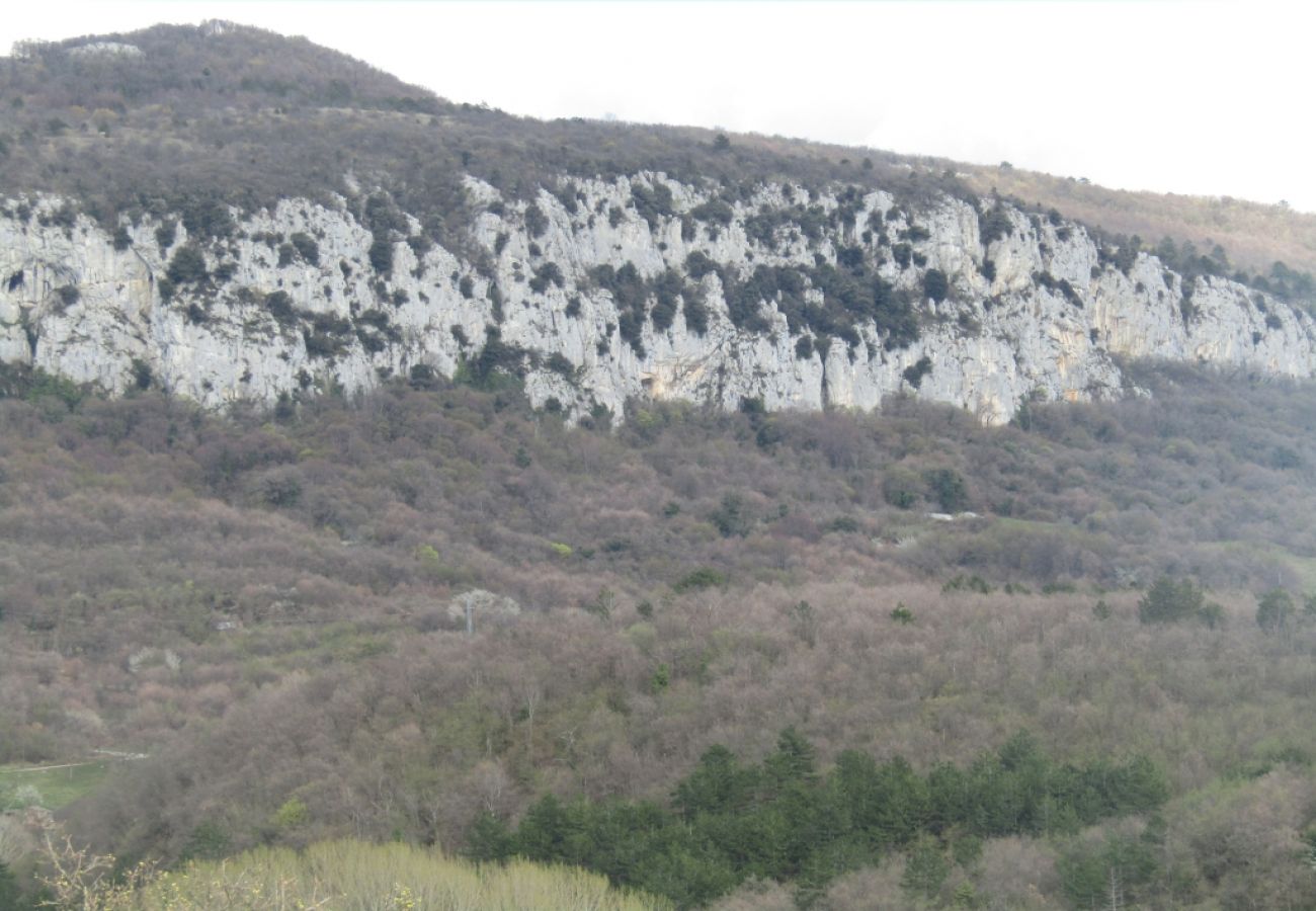 Appartement à Roc - Appartement dans Roč avec Balcon, Climatisation, WIFI, Machine à laver (4909-1)