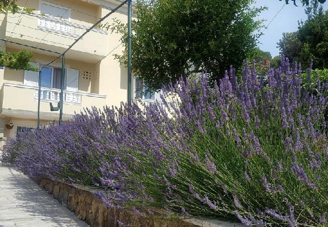 Appartement à Banjol - Appartement dans Banjol avec Balcon, Climatisation, WIFI, Lave-vaisselle (4888-1) Appartement à Banjol - Appartement dans Banjol avec Balcon, Climatisation, WIFI, Lave-vaisselle (4888-1)