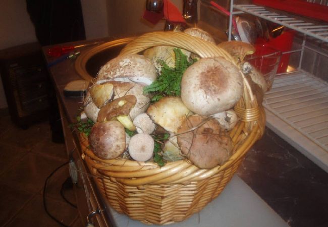 Appartement à Mali Lošinj - Appartement dans Mali Lošinj avec terrasse, Climatisation, WIFI (4913-1) Appartement à Mali Lošinj - Appartement dans Mali Lošinj avec terrasse, Climatisation, WIFI (4913-1)