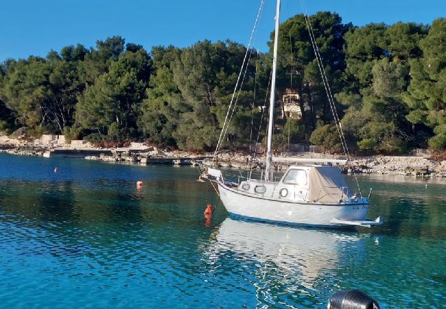 Appartement à Mali Lošinj - Appartement dans Mali Lošinj avec terrasse, Climatisation, WIFI (4913-1) Appartement à Mali Lošinj - Appartement dans Mali Lošinj avec terrasse, Climatisation, WIFI (4913-1)