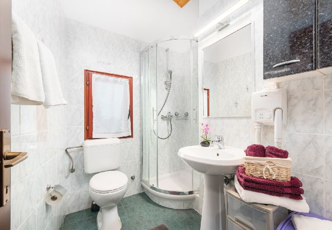 Appartement à Porec - Appartement dans Poreč avec terrasse, Climatisation, WIFI, Lave-vaisselle (4928-4) Appartement à Porec - Appartement dans Poreč avec terrasse, Climatisation, WIFI, Lave-vaisselle (4928-4)