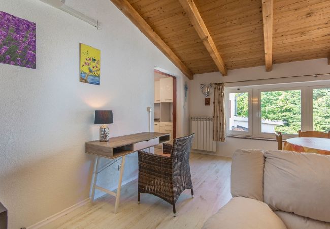 Appartement à Porec - Appartement dans Poreč avec terrasse, Climatisation, WIFI, Lave-vaisselle (4928-4) Appartement à Porec - Appartement dans Poreč avec terrasse, Climatisation, WIFI, Lave-vaisselle (4928-4)