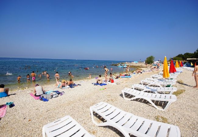 Appartement à Porec - Appartement dans Poreč avec terrasse, Climatisation, WIFI, Lave-vaisselle (4928-4) Appartement à Porec - Appartement dans Poreč avec terrasse, Climatisation, WIFI, Lave-vaisselle (4928-4)