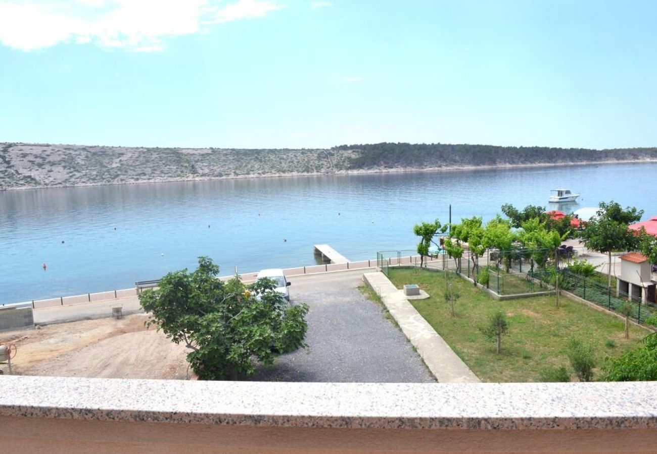 Appartement à Rab - Appartement dans Barbat avec vue mer, Climatisation, WIFI, Machine à laver (4956-1)