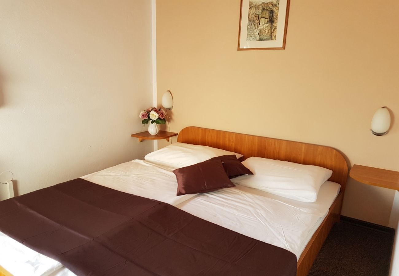 Chambres d'hôtes à Rakovica - Chambre dans Rakovica avec WIFI (4958-5)