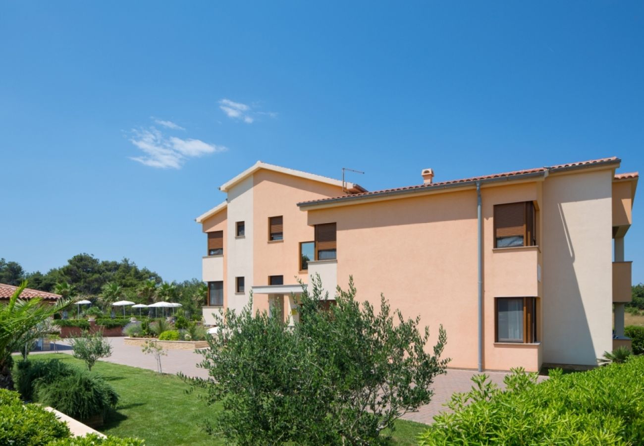 Maison à Vir - Maison de vacances dans Vir avec vue mer, terrasse, Climatisation, WIFI (4586-7)