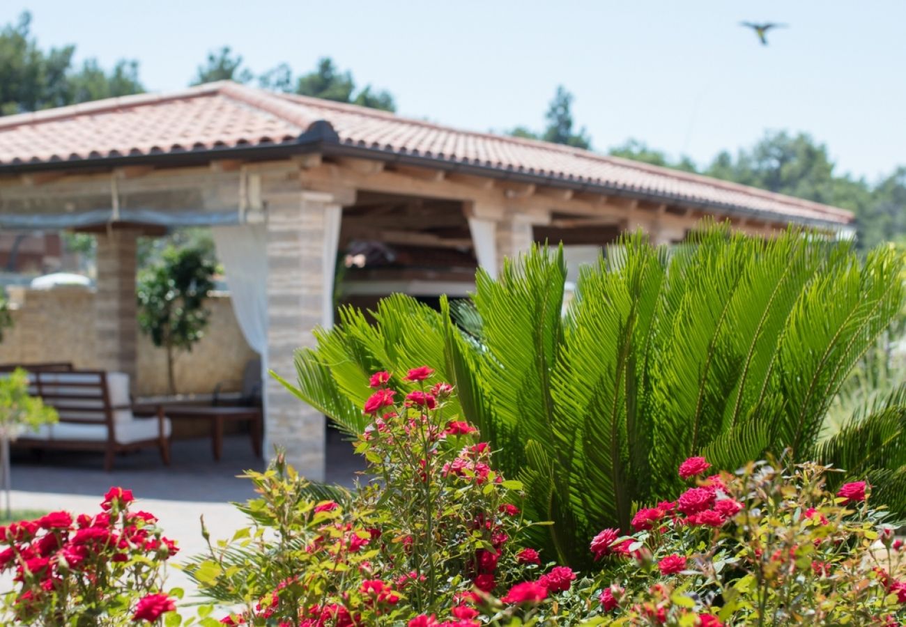 Maison à Vir - Maison de vacances dans Vir avec vue mer, terrasse, Climatisation, WIFI (4586-7)