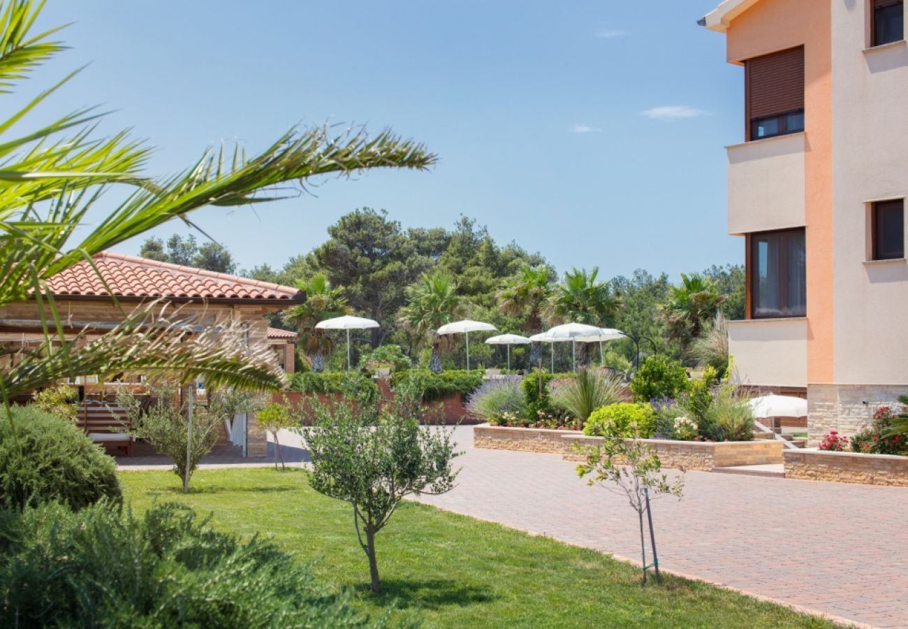 Maison à Vir - Maison de vacances dans Vir avec vue mer, terrasse, Climatisation, WIFI (4586-7)