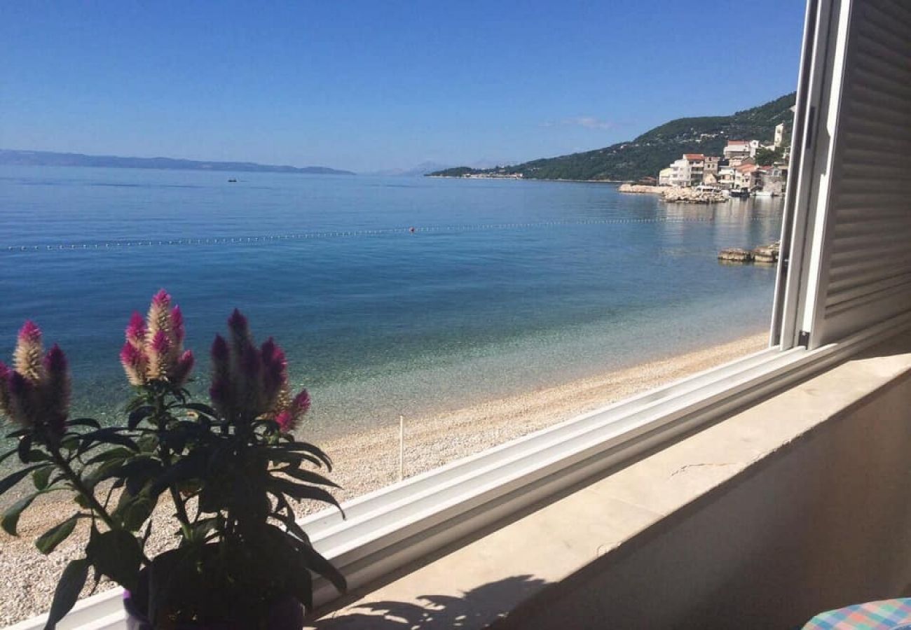 Appartement à Drašnice - Appartement dans Drašnice avec vue mer, terrasse, Climatisation, WIFI (4992-5)