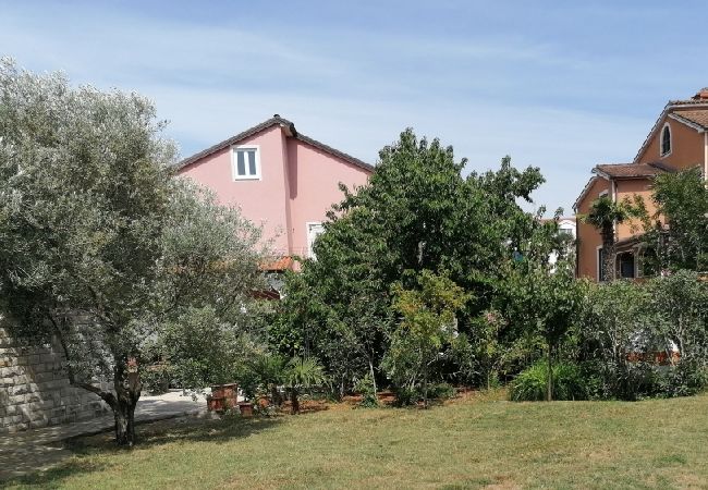 Funtana - Appartement