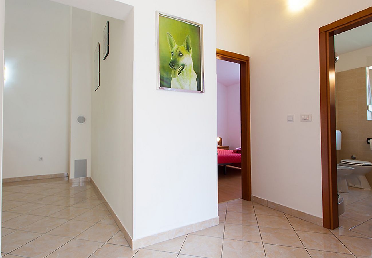 Appartement à Porec - Appartement dans Poreč avec Balcon, Climatisation, WIFI, Machine à laver (4928-10)