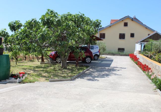 Appartement à Tribunj - Appartement dans Tribunj avec vue mer, Balcon, Climatisation, WIFI (5034-3) Appartement à Tribunj - Appartement dans Tribunj avec vue mer, Balcon, Climatisation, WIFI (5034-3)