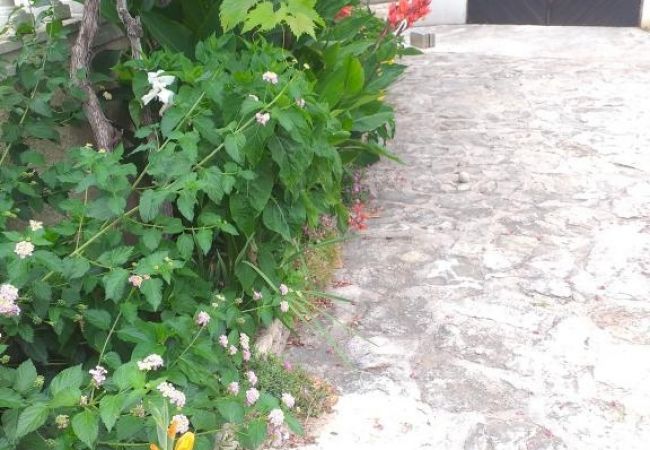 Appartement à Tribunj - Appartement dans Tribunj avec vue mer, Balcon, Climatisation, WIFI (5037-2) Appartement à Tribunj - Appartement dans Tribunj avec vue mer, Balcon, Climatisation, WIFI (5037-2)