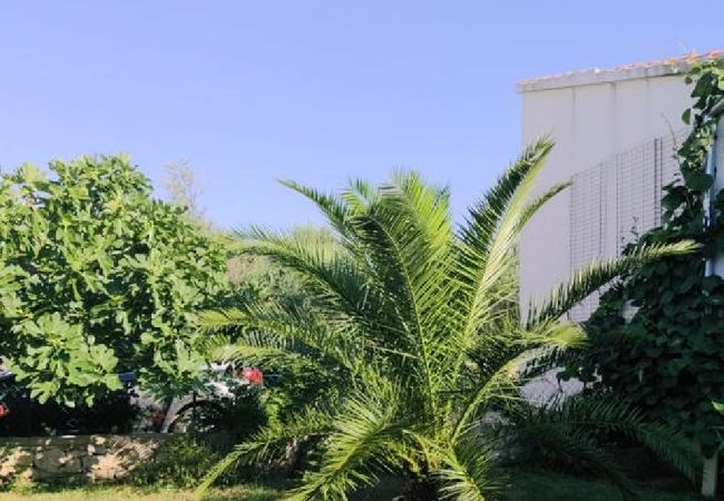 Studio à Tribunj - Appartement Studio dans Tribunj avec terrasse, Climatisation, WIFI, Machine à laver (5040-2) Studio à Tribunj - Appartement Studio dans Tribunj avec terrasse, Climatisation, WIFI, Machine à laver (5040-2)