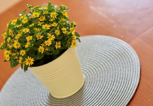 Appartement à Seget Vranjica - Appartement dans Seget Vranjica avec vue mer, Balcon, Climatisation, WIFI (5052-3) Appartement à Seget Vranjica - Appartement dans Seget Vranjica avec vue mer, Balcon, Climatisation, WIFI (5052-3)