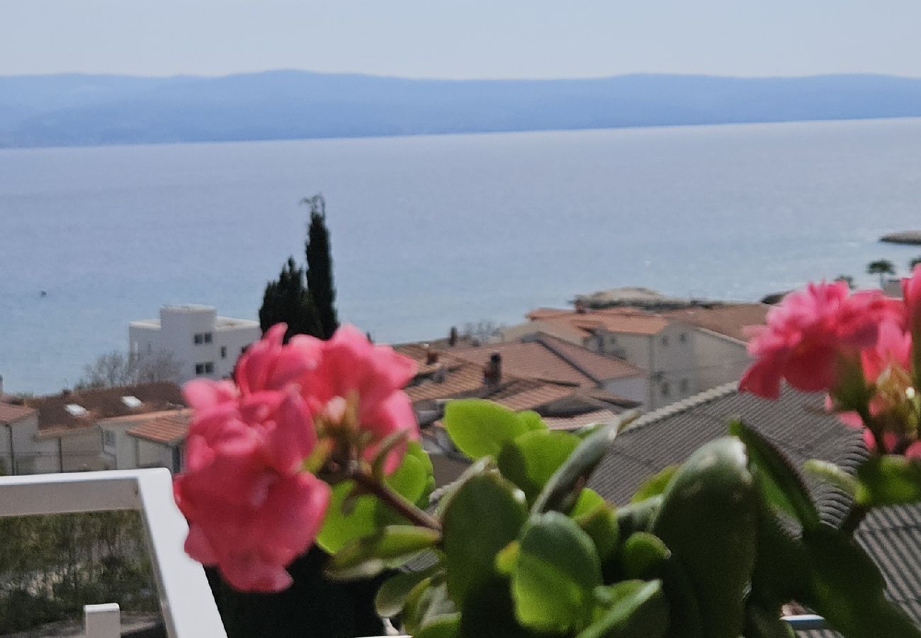 Studio à Duce - Appartement Studio dans Duće avec vue mer, Balcon, Climatisation, WIFI (5067-6)