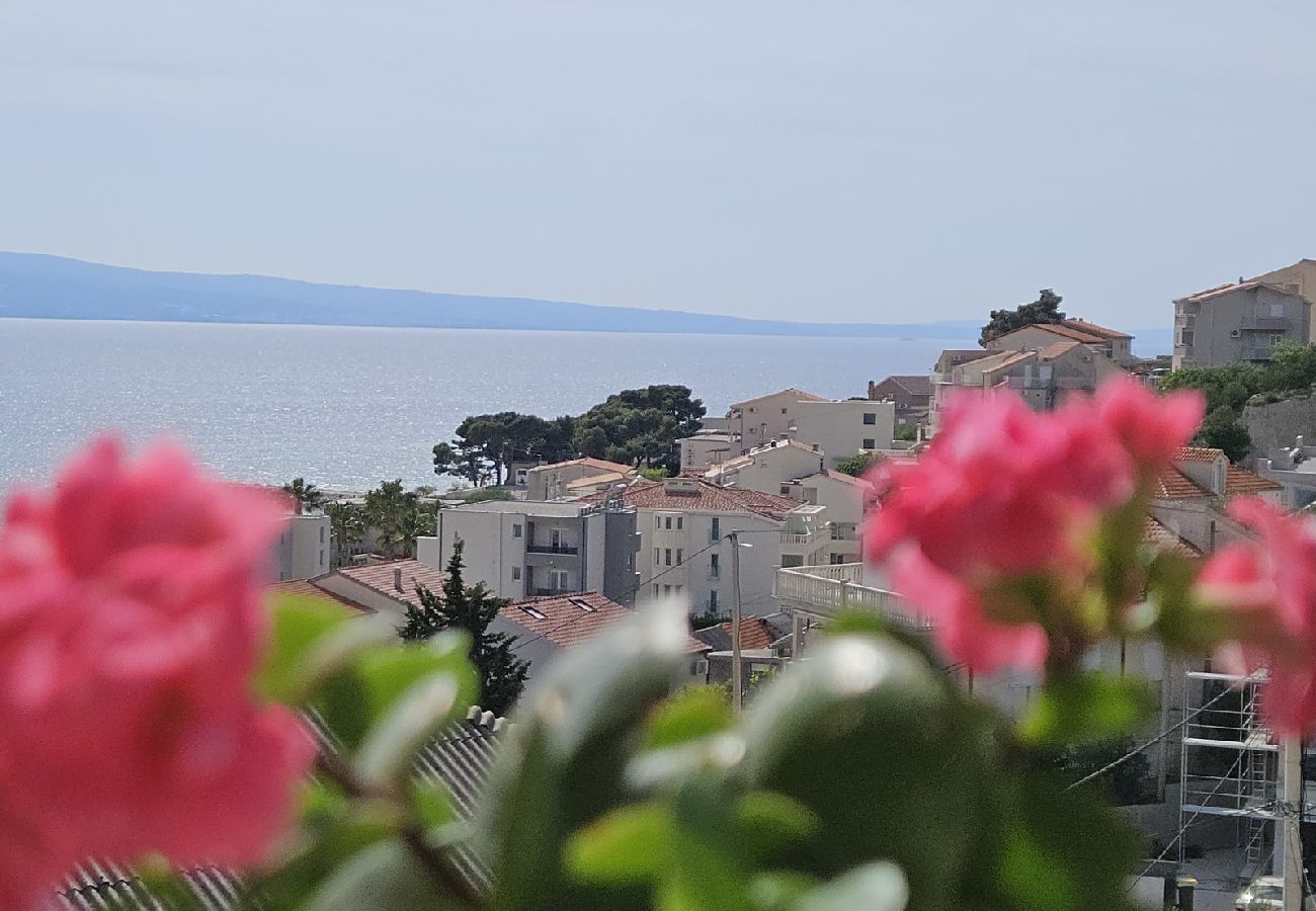 Studio à Duce - Appartement Studio dans Duće avec vue mer, Balcon, Climatisation, WIFI (5067-6)