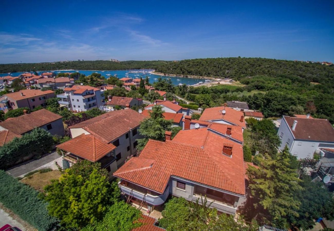 Appartement à Banjole - Appartement dans Banjole avec terrasse, Climatisation, WIFI, Machine à laver (3360-3)