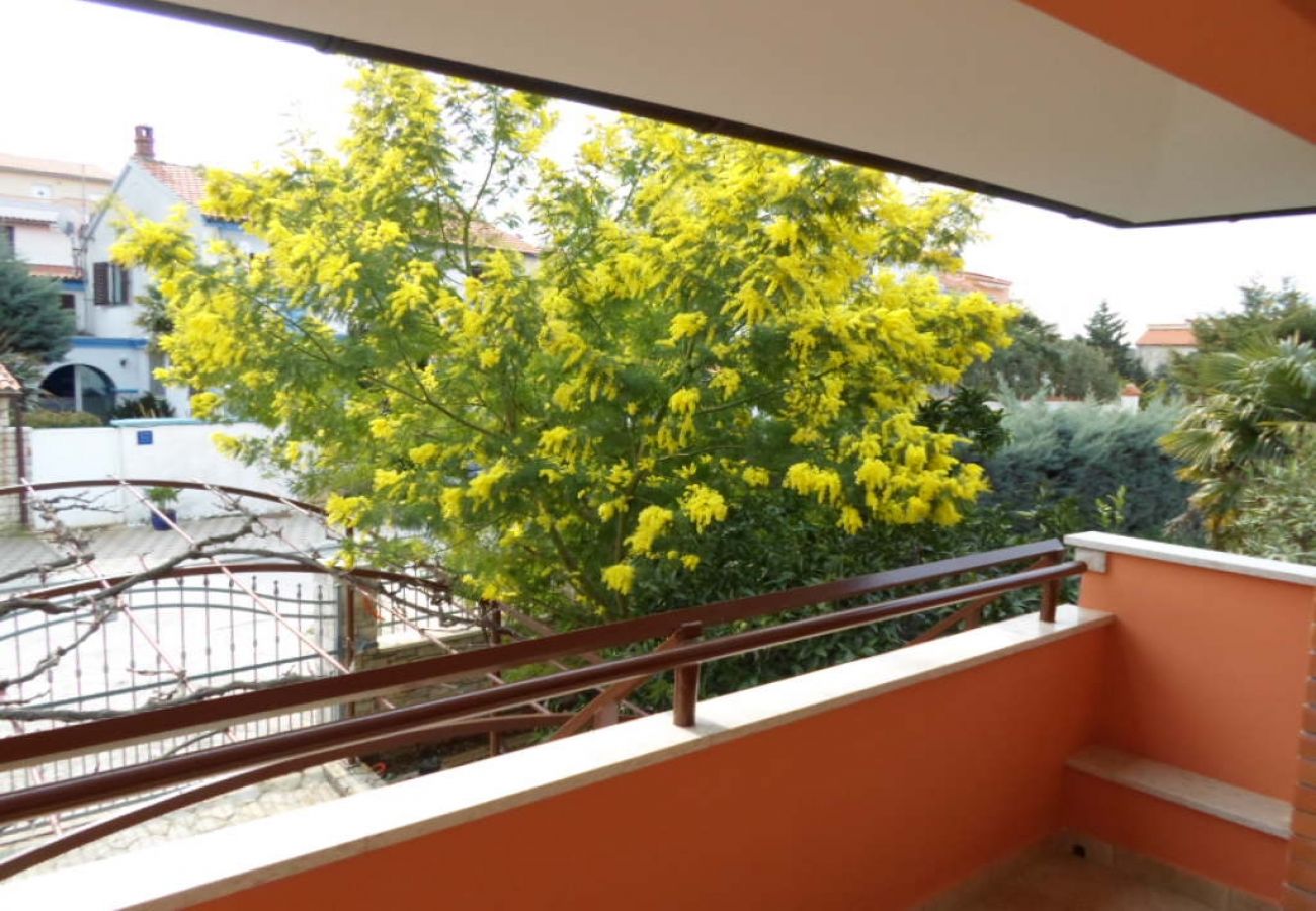 Appartement à Banjole - Appartement dans Banjole avec terrasse, Climatisation, WIFI, Machine à laver (3360-1)