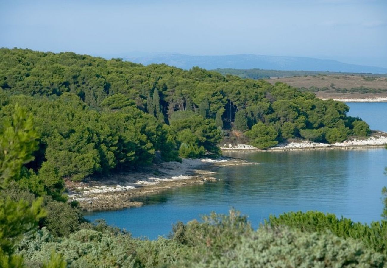 Appartement à Banjole - Appartement dans Banjole avec Climatisation, WIFI, Machine à laver (3360-2)