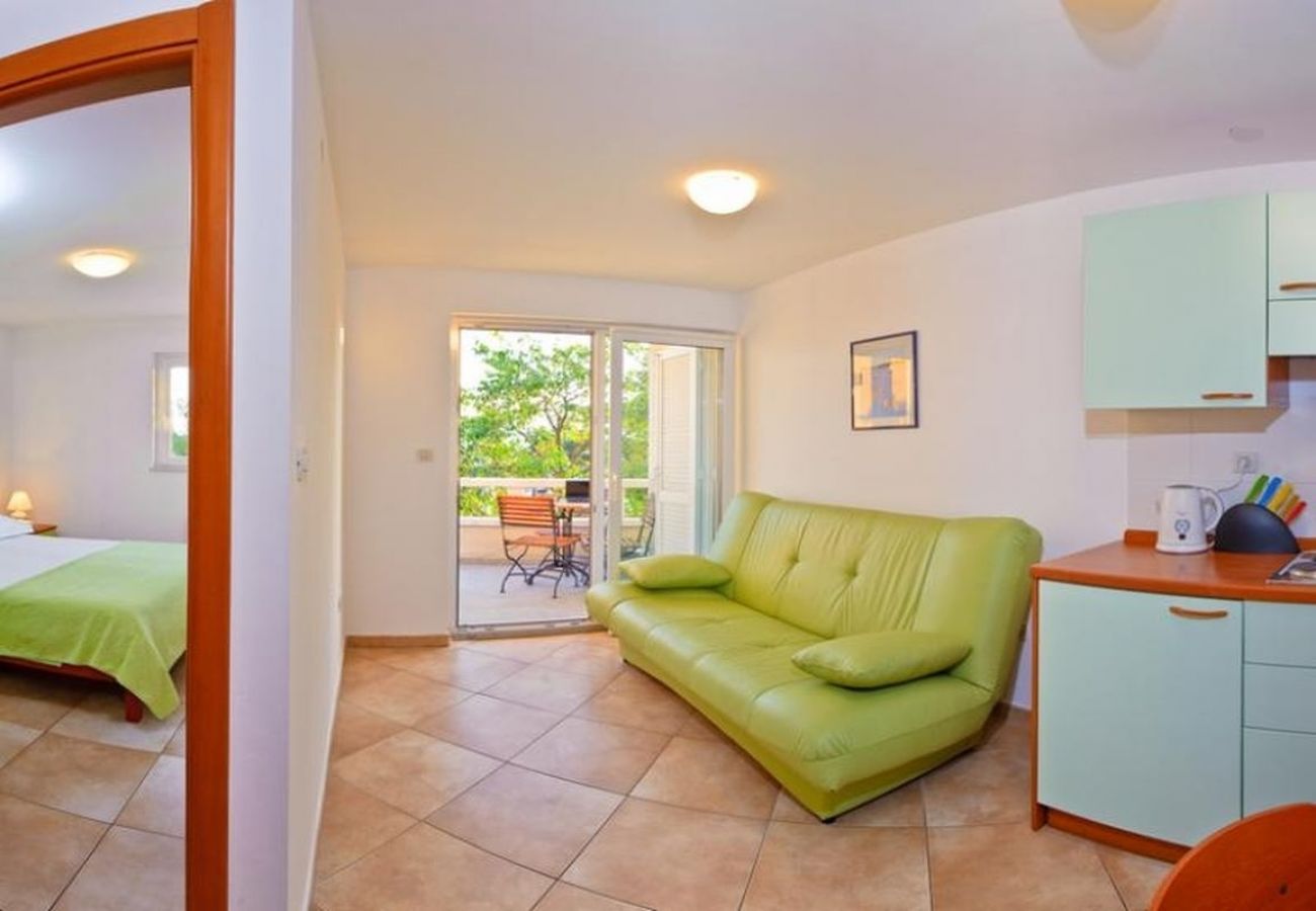 Appartement à Brela - Appartement dans Brela avec vue mer, terrasse, Climatisation, WIFI (201-1)