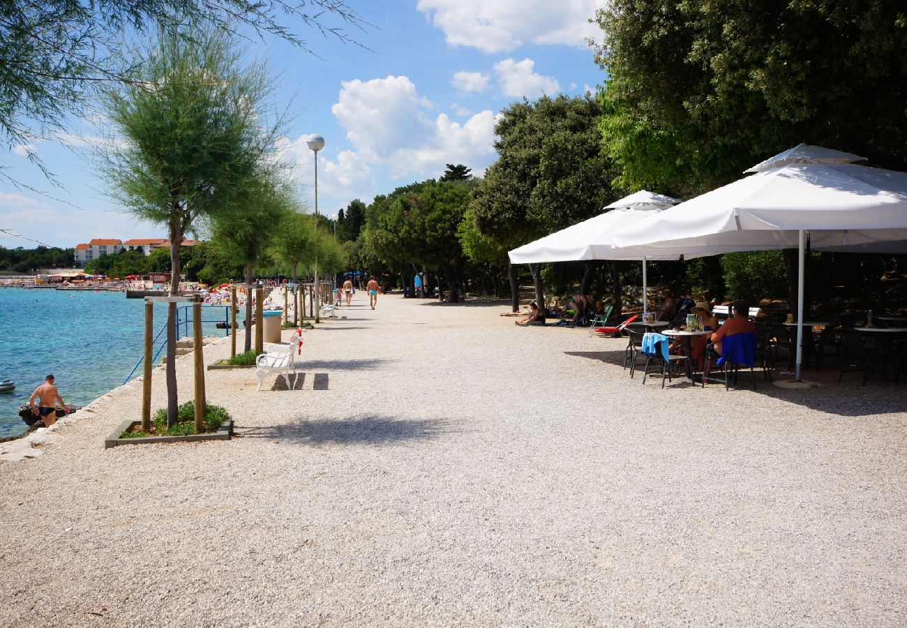 Chambres d'hôtes à Novi Vinodolski - Chambre dans Novi Vinodolski avec vue mer, terrasse, Climatisation, WIFI (3541-1)