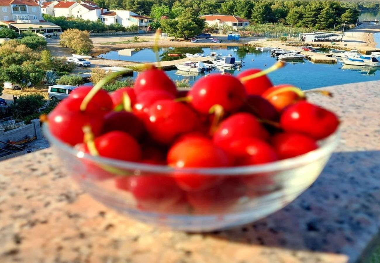 Appartement à Žaborić - Appartement dans Žaborić avec vue mer, Balcon, Climatisation, WIFI (5177-1)