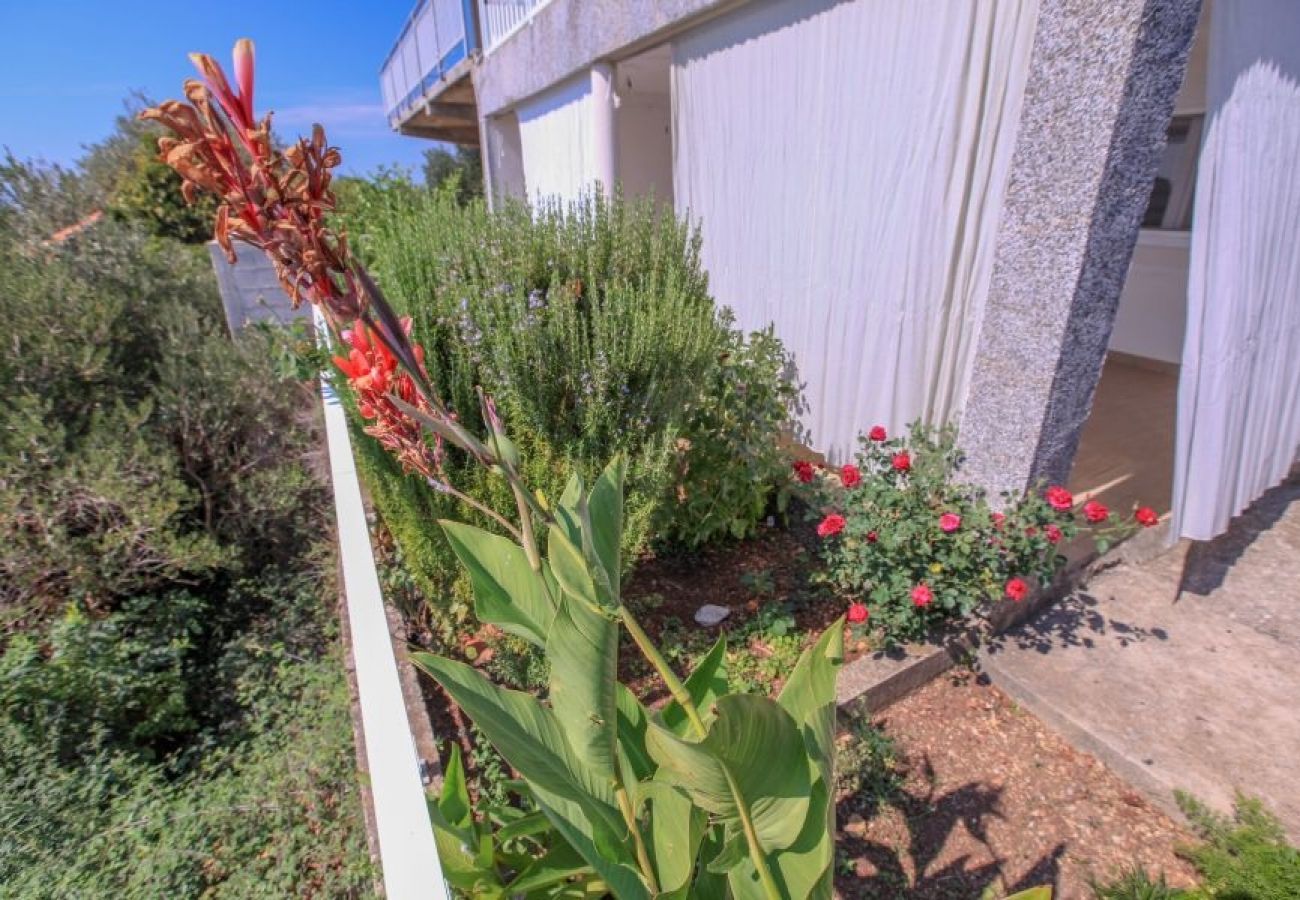 Studio à Podaca - Appartement Studio dans Podaca avec vue mer, terrasse, WIFI (3676-3)