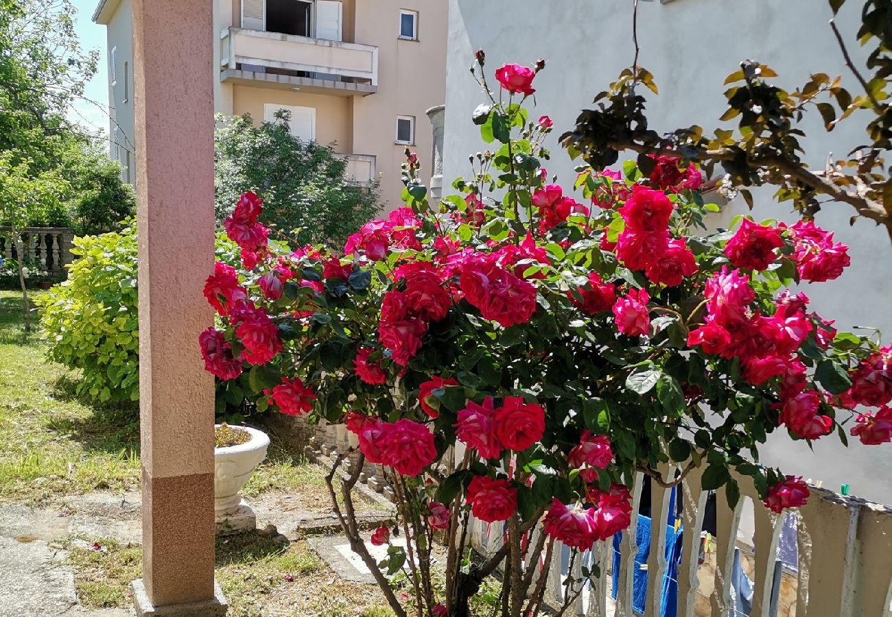 Chambres d'hôtes à Lopar - Chambre dans Lopar avec Balcon, WIFI (4620-96)