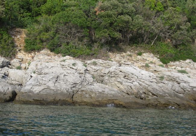 Appartement à Stivan - Appartement dans Stivan avec Balcon, Climatisation, WIFI, Machine à laver (5196-1) Appartement à Stivan - Appartement dans Stivan avec Balcon, Climatisation, WIFI, Machine à laver (5196-1)