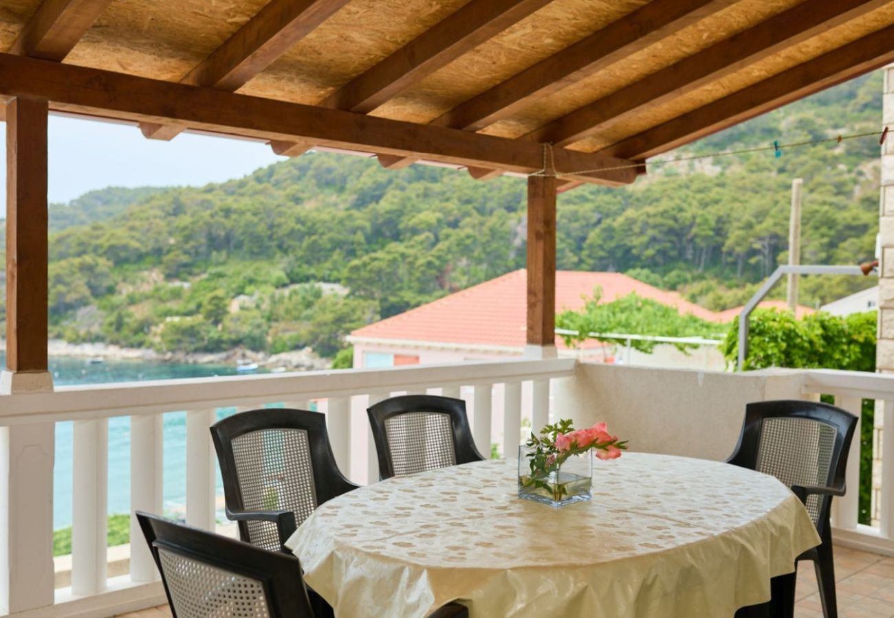 Appartement à Saplunara - Appartement dans Saplunara avec vue mer, terrasse, Climatisation, WIFI (5197-5)