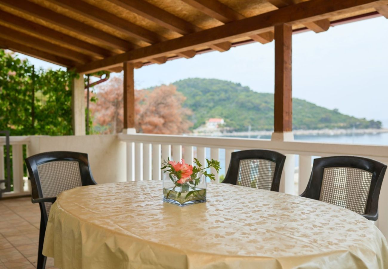 Appartement à Saplunara - Appartement dans Saplunara avec vue mer, terrasse, Climatisation, WIFI (5197-5)