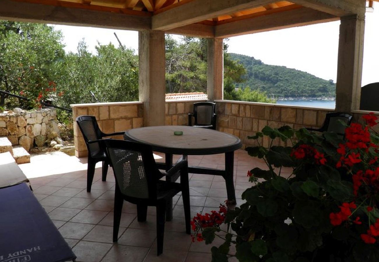 Appartement à Saplunara - Appartement dans Saplunara avec vue mer, terrasse, Climatisation, WIFI (5197-4)