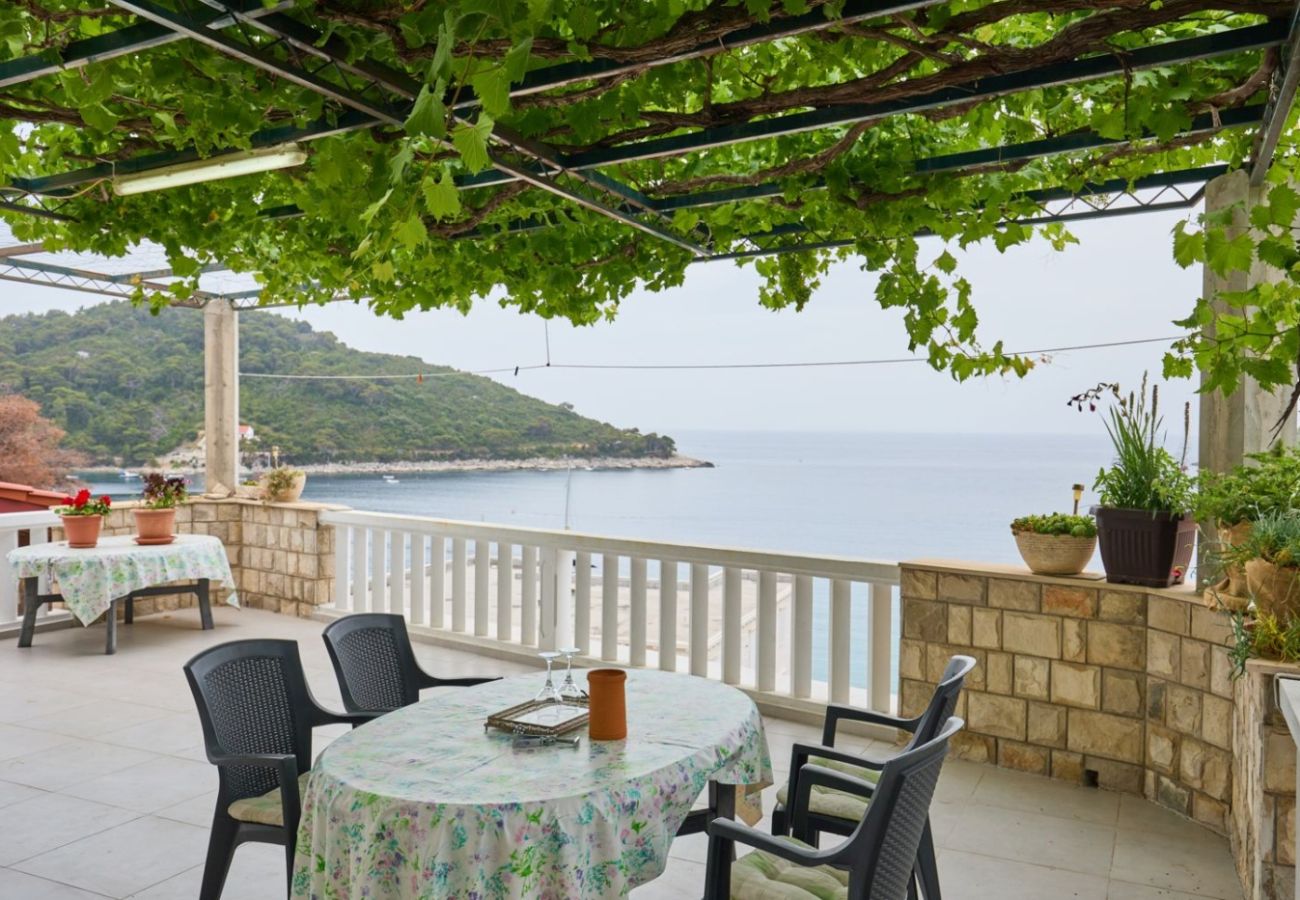 Appartement à Saplunara - Appartement dans Saplunara avec vue mer, terrasse, Climatisation, WIFI (5197-4)