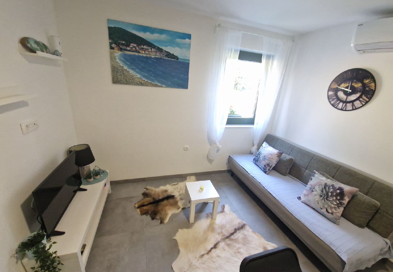 Appartement à Opatija - Appartement dans Opatija avec terrasse, Climatisation, Machine à laver, Lave-vaisselle (5219-1)