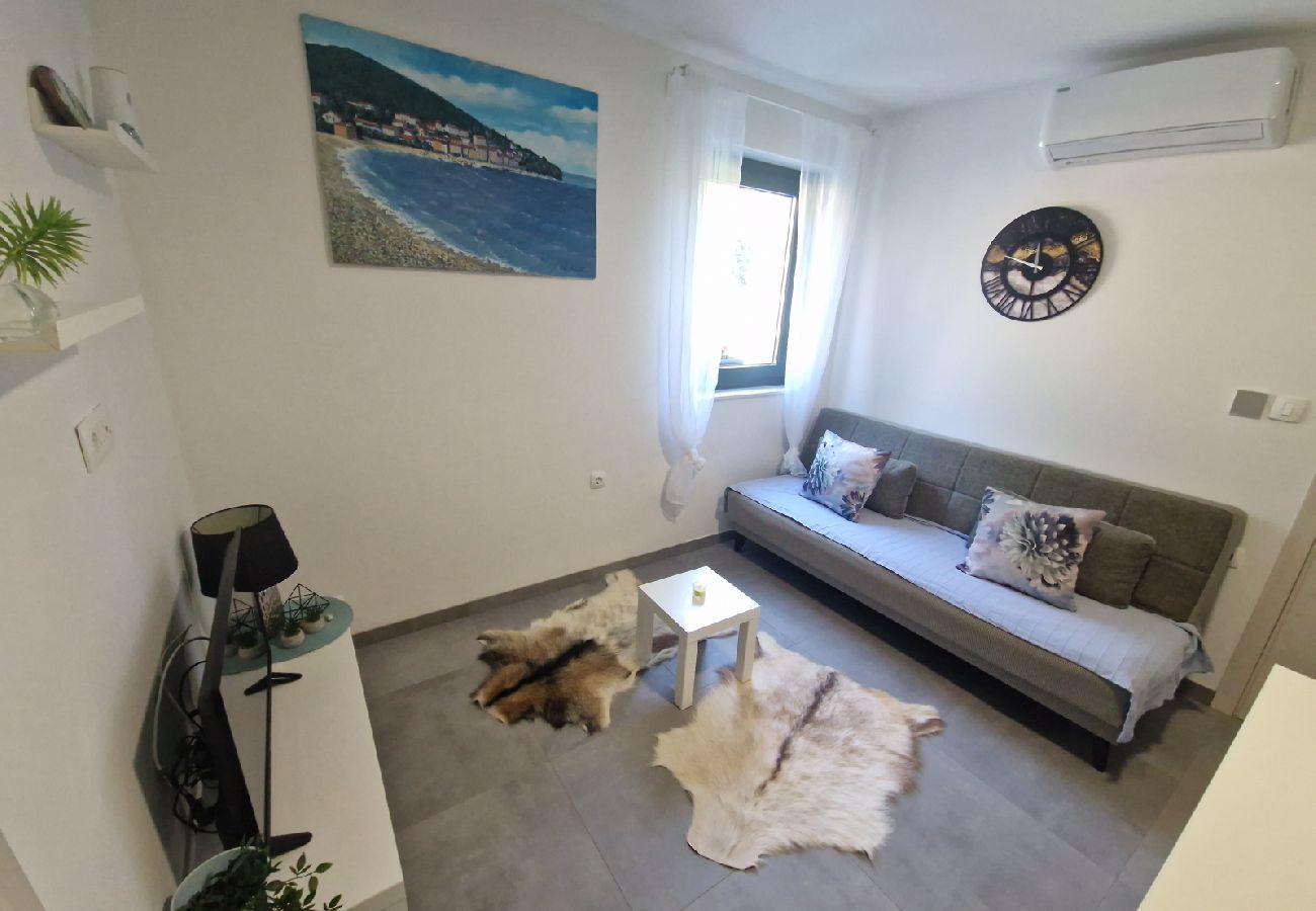 Appartement à Opatija - Appartement dans Opatija avec terrasse, Climatisation, Machine à laver, Lave-vaisselle (5219-1)