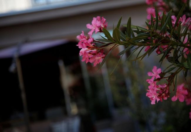 Chambres d'hôtes à Vodice - Chambre à Vodice avec balcon, climatisation, Wi-Fi (4323-7) Chambres d'hôtes à Vodice - Chambre à Vodice avec balcon, climatisation, Wi-Fi (4323-7)