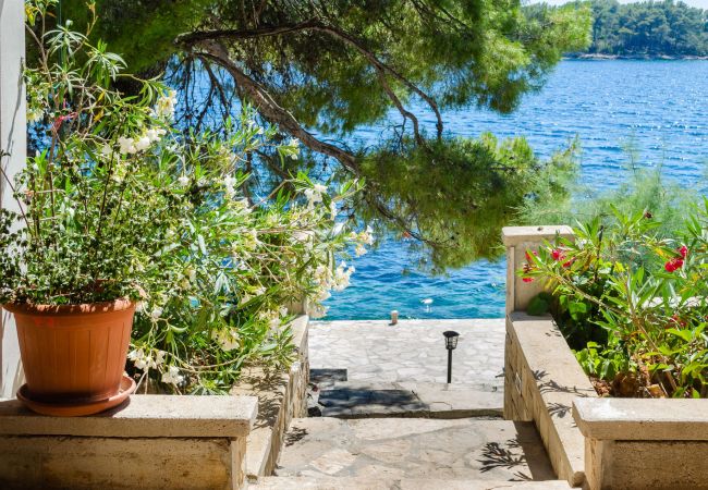 Appartement à Karbuni - Appartement dans Karbuni avec vue mer, terrasse, Climatisation, WIFI (3609-5) Appartement à Karbuni - Appartement dans Karbuni avec vue mer, terrasse, Climatisation, WIFI (3609-5)