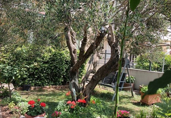 Bungalow à Ražanj - Bungalow à Ražanj avec terrasse, lave-linge, lave-vaisselle, climatisation (3743-4) Bungalow à Ražanj - Bungalow à Ražanj avec terrasse, lave-linge, lave-vaisselle, climatisation (3743-4)