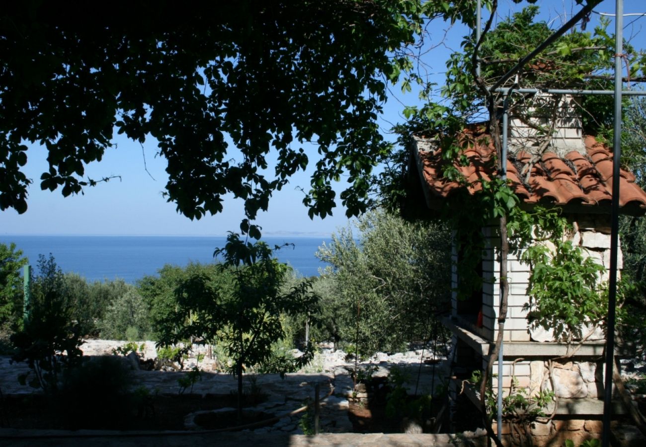 Casa a Primošten - Casa di vacanza in Capocesto (Primosten) con vista mare, terrazzo, Climatizzazione, WIFI (54-1)