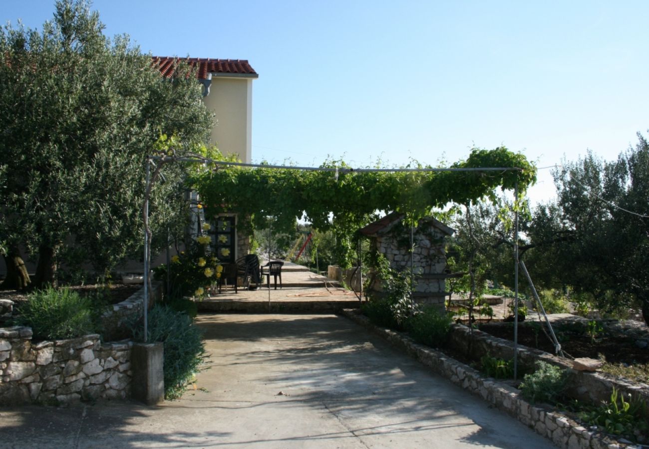 Casa a Primošten - Casa di vacanza in Capocesto (Primosten) con vista mare, terrazzo, Climatizzazione, WIFI (54-1)