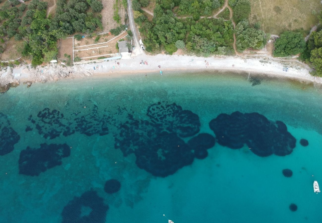 Casa a Miholašcica - Casa di vacanza in Miholaščica con terrazzo, Climatizzazione, WIFI (66-1)