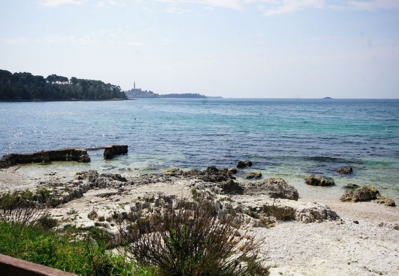 Affitto per camere a Rovinj - Camera in Rovigno (Rovinj) con vista mare, balcone, Climatizzazione, WIFI (81-3)