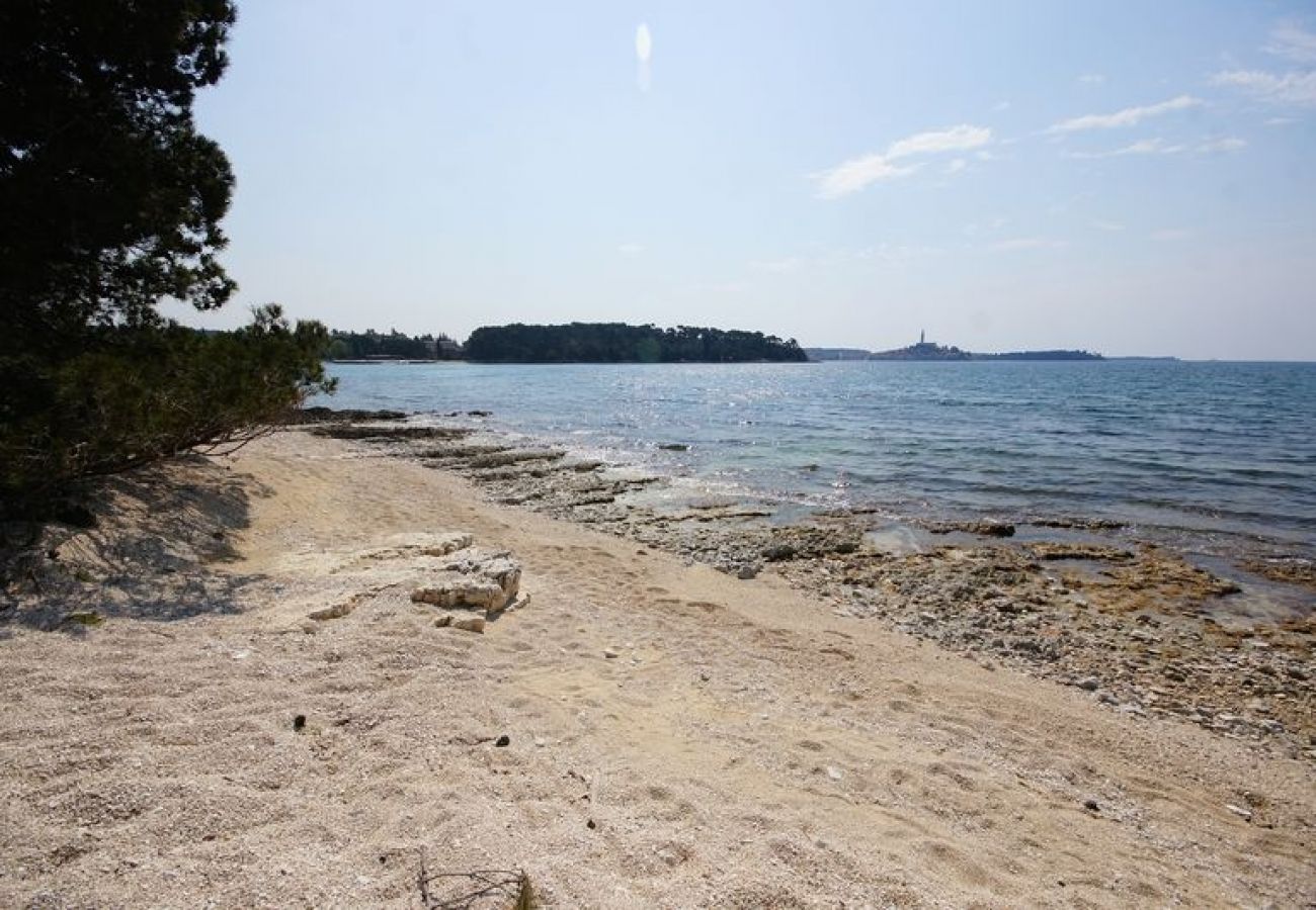 Affitto per camere a Rovinj - Camera in Rovigno (Rovinj) con vista mare, balcone, Climatizzazione, WIFI (81-3)