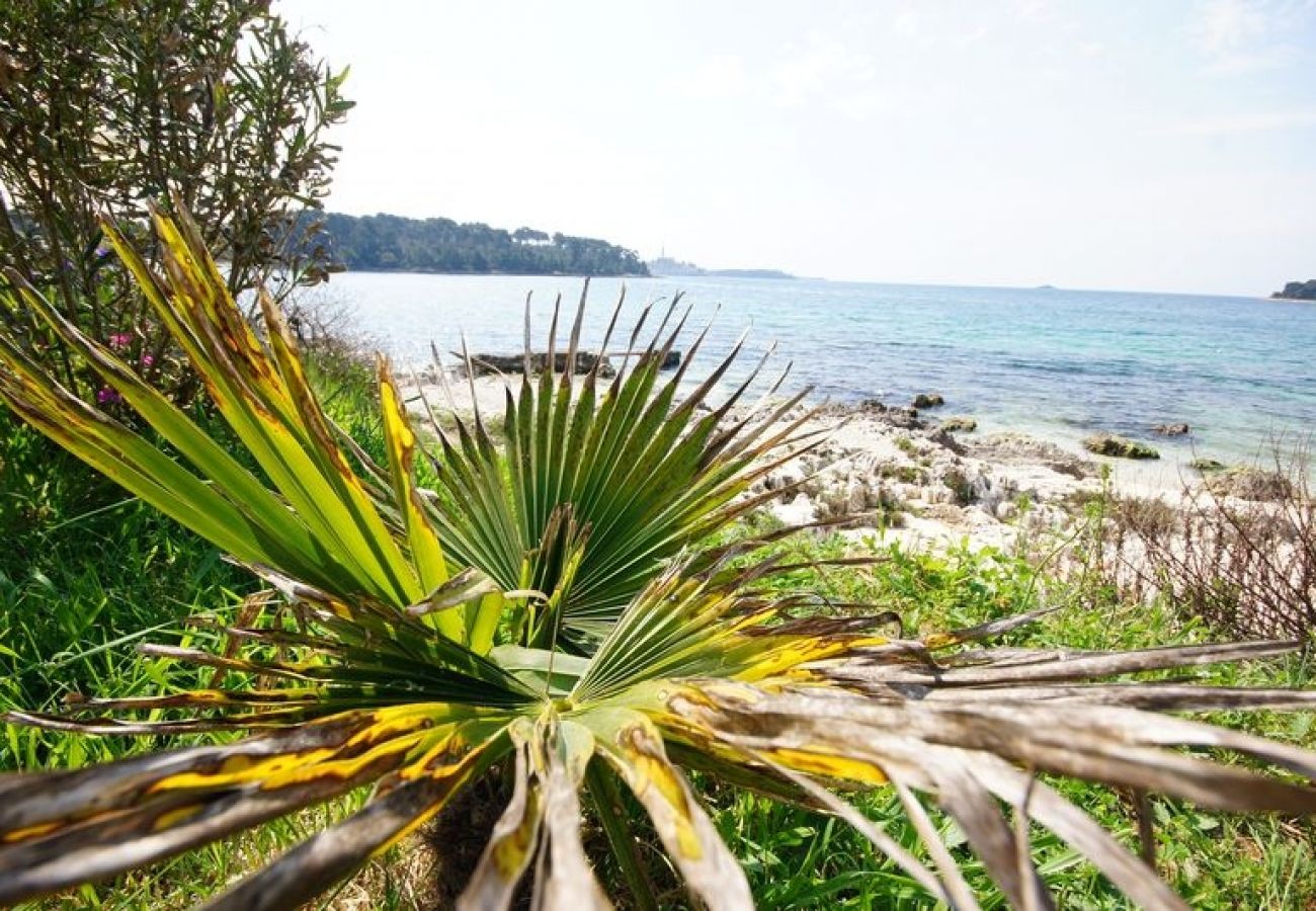 Affitto per camere a Rovinj - Camera in Rovigno (Rovinj) con vista mare, balcone, Climatizzazione, WIFI (81-3)