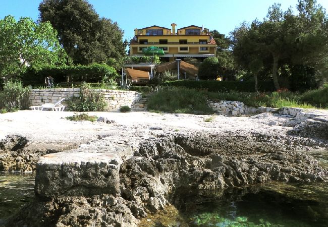 Affitto per camere a Rovinj - Camera in Rovigno (Rovinj) con vista mare, balcone, Climatizzazione, WIFI (81-4) Affitto per camere a Rovinj - Camera in Rovigno (Rovinj) con vista mare, balcone, Climatizzazione, WIFI (81-4)