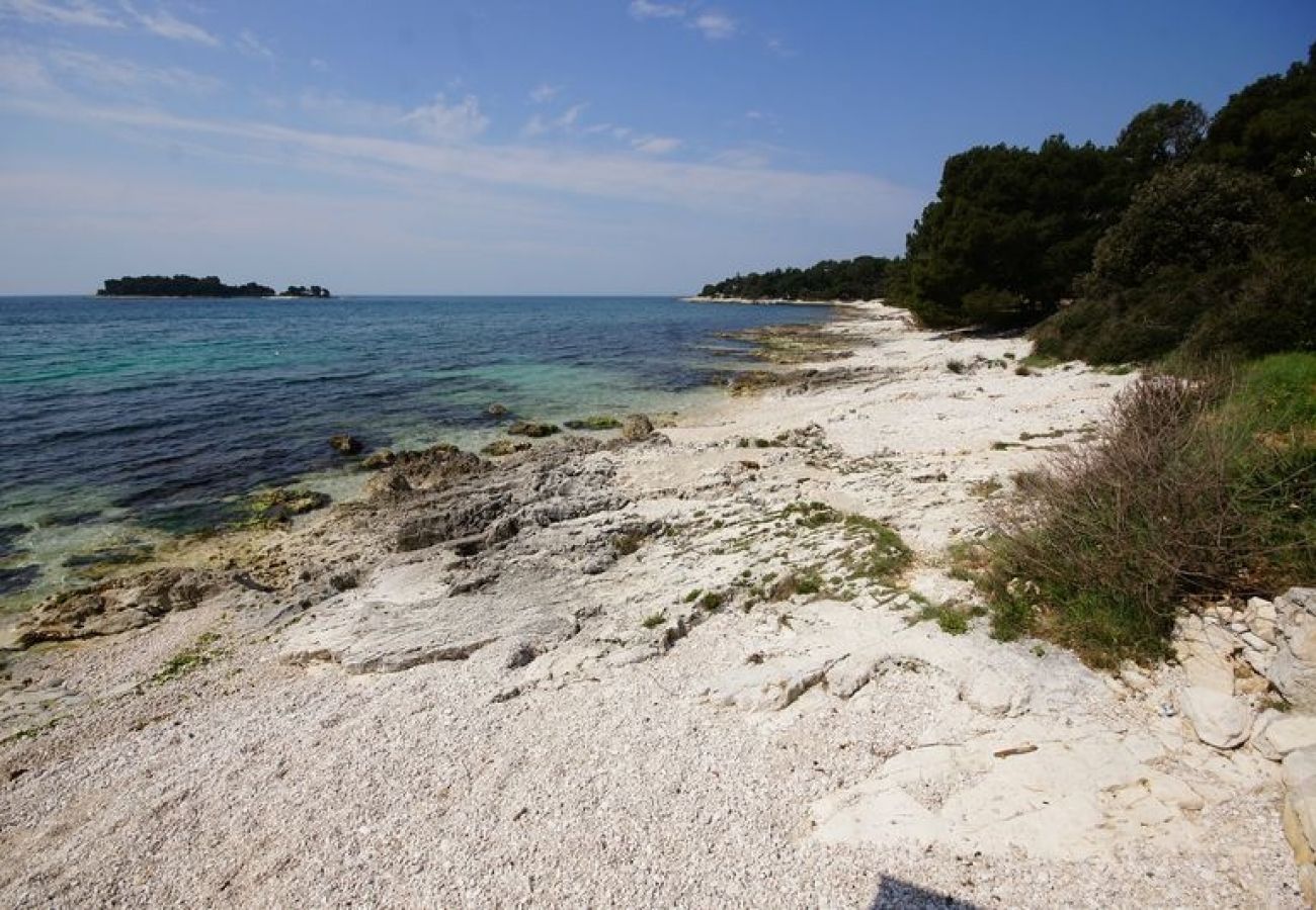 Affitto per camere a Rovinj - Camera in Rovigno (Rovinj) con terrazzo, Climatizzazione, WIFI (81-5)