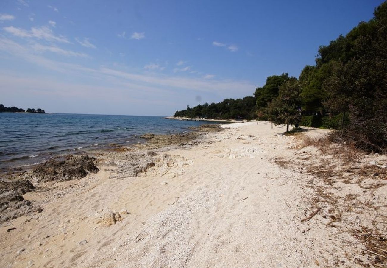 Affitto per camere a Rovinj - Camera in Rovigno (Rovinj) con terrazzo, Climatizzazione, WIFI (81-5)