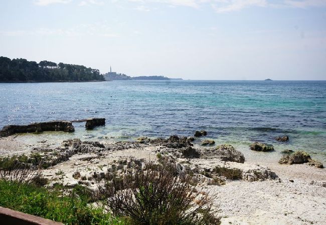 Affitto per camere a Rovinj - Camera in Rovigno (Rovinj) con terrazzo, Climatizzazione, WIFI (81-6) Affitto per camere a Rovinj - Camera in Rovigno (Rovinj) con terrazzo, Climatizzazione, WIFI (81-6)